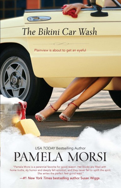 The bikini car wash / Pamela Morsi.