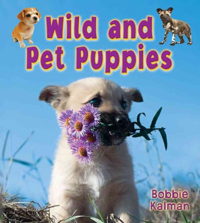 Wild and pet puppies [Hard Cover] / Bobbie Kalman.